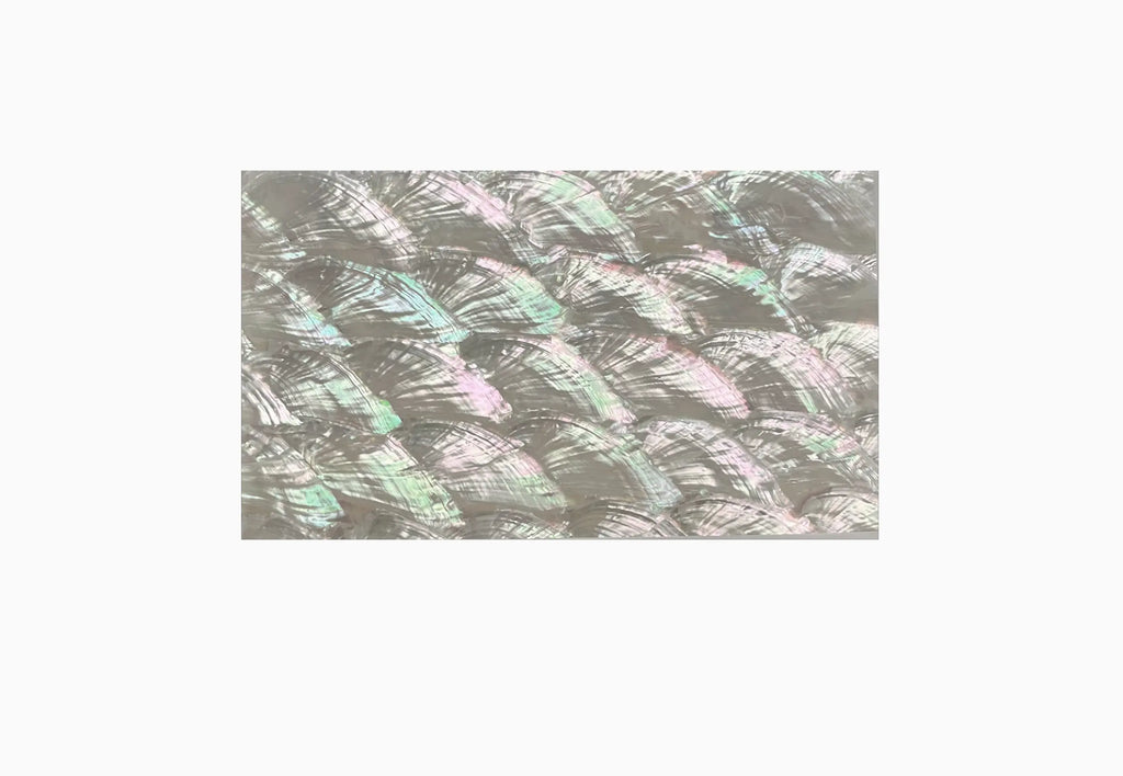 SUPERLATIVA® veneer in Abalone Haliotis Asinina - 30X30cm - thickness 0,15 | 8014_SHEL_30_0,15_S